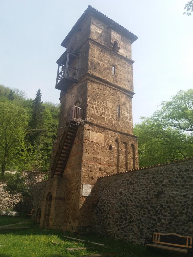 Guest House Darejani Κουτάισι Εξωτερικό φωτογραφία
