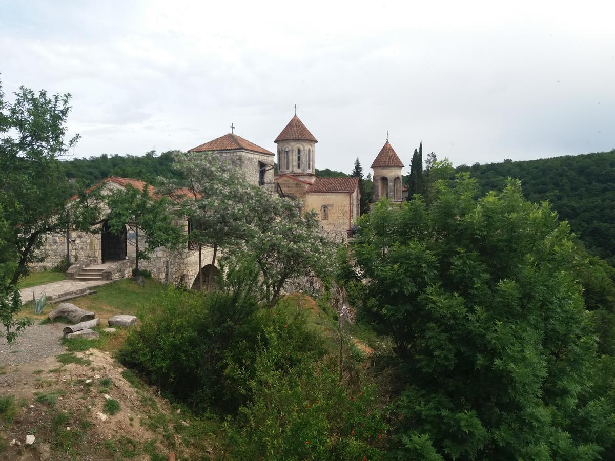 Guest House Darejani Κουτάισι Εξωτερικό φωτογραφία